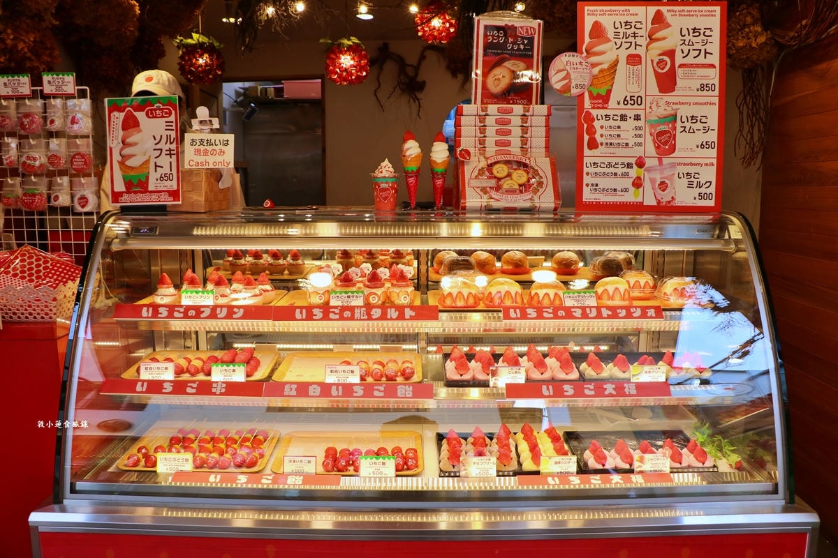 【日本神奈川】鎌倉江之島二天一夜懶人包‧交通、景點、美食一次總攻略,感受文物與環境的奧秘 - 第43張圖 【日本神奈川】鎌倉江之島二天一夜懶人包‧交通、景點、美食一次總攻略,感受文物與環境的奧秘