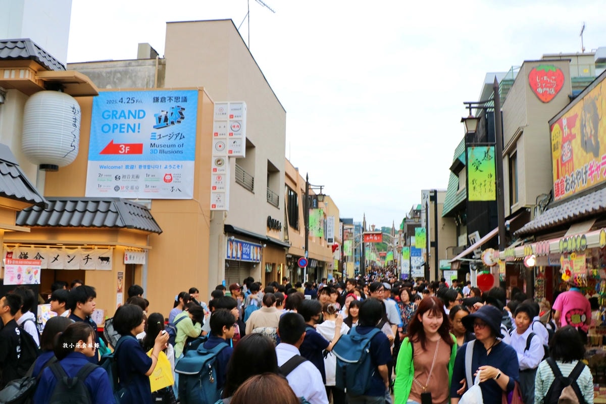 【日本神奈川】鎌倉江之島二天一夜懶人包‧交通、景點、美食一次總攻略,感受文物與環境的奧秘 - 第40張圖 【日本神奈川】鎌倉江之島二天一夜懶人包‧交通、景點、美食一次總攻略,感受文物與環境的奧秘