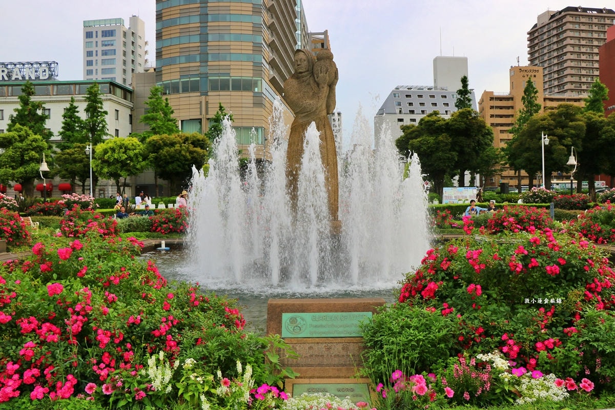 【神奈川橫濱】山下公園 ‧橫濱港旁的未來玫瑰園,關東地區玫瑰花品中最多的玫瑰園 - 第3張圖 【神奈川橫濱】山下公園 ‧橫濱港旁的未來玫瑰園,關東地區玫瑰花品中最多的玫瑰園