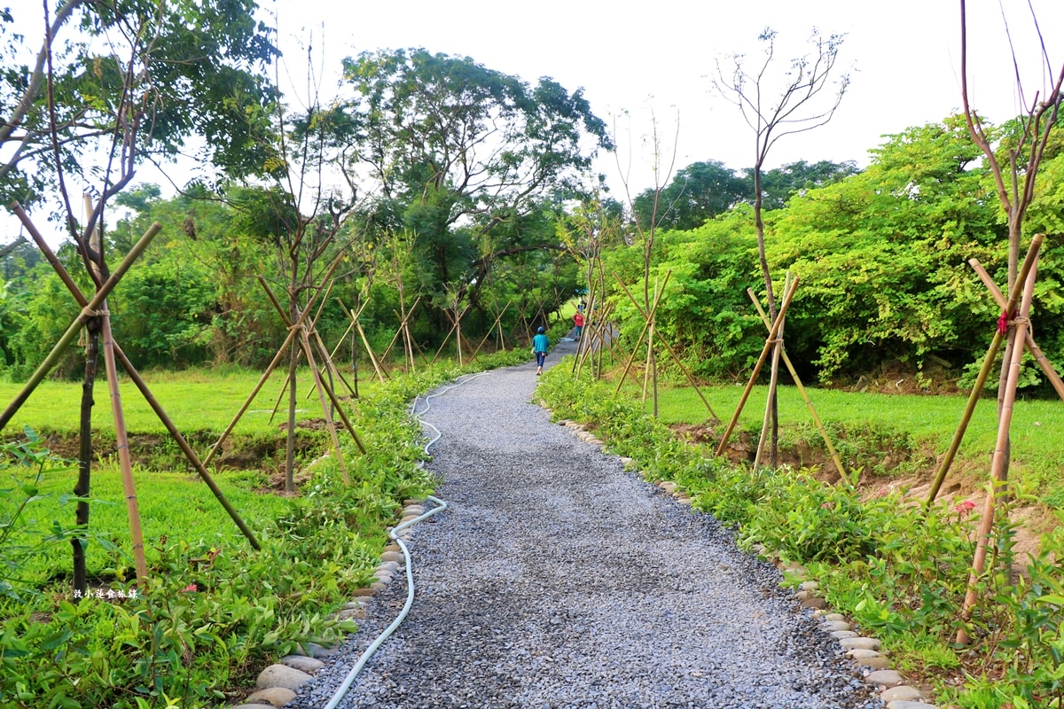 高雄果嶺自然公園‧高爾夫球場再生超級生態自然公園,佔地70公頃,90種鳥類生態,遠眺北大武山秋賞落羽松!! - 第9張圖 高雄果嶺自然公園‧高爾夫球場再生超級生態自然公園,佔地70公頃,90種鳥類生態,遠眺北大武山秋賞落羽松!!