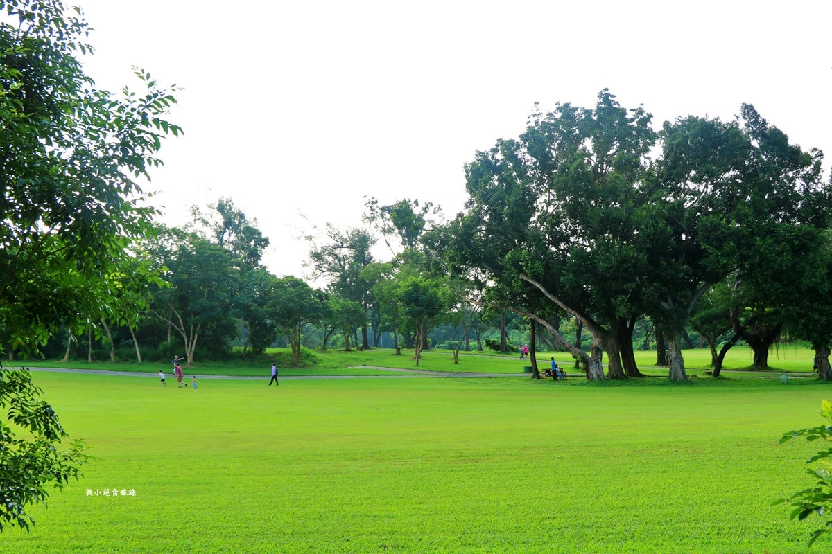 高雄果嶺自然公園‧高爾夫球場再生超級生態自然公園,佔地70公頃,90種鳥類生態,遠眺北大武山秋賞落羽松!! - 第13張圖 高雄果嶺自然公園‧高爾夫球場再生超級生態自然公園,佔地70公頃,90種鳥類生態,遠眺北大武山秋賞落羽松!!