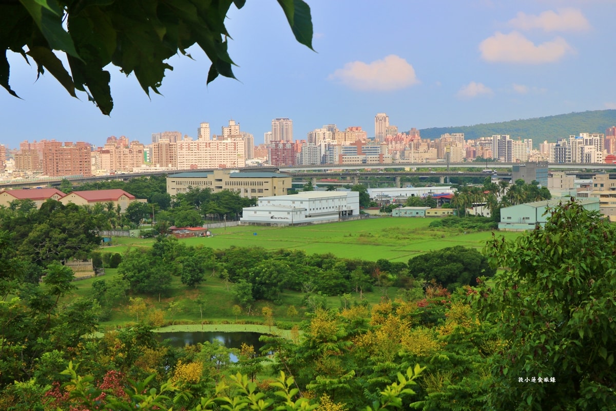 高雄果嶺自然公園‧高爾夫球場再生超級生態自然公園,佔地70公頃,90種鳥類生態,遠眺北大武山秋賞落羽松!! - 第19張圖 高雄果嶺自然公園‧高爾夫球場再生超級生態自然公園,佔地70公頃,90種鳥類生態,遠眺北大武山秋賞落羽松!!