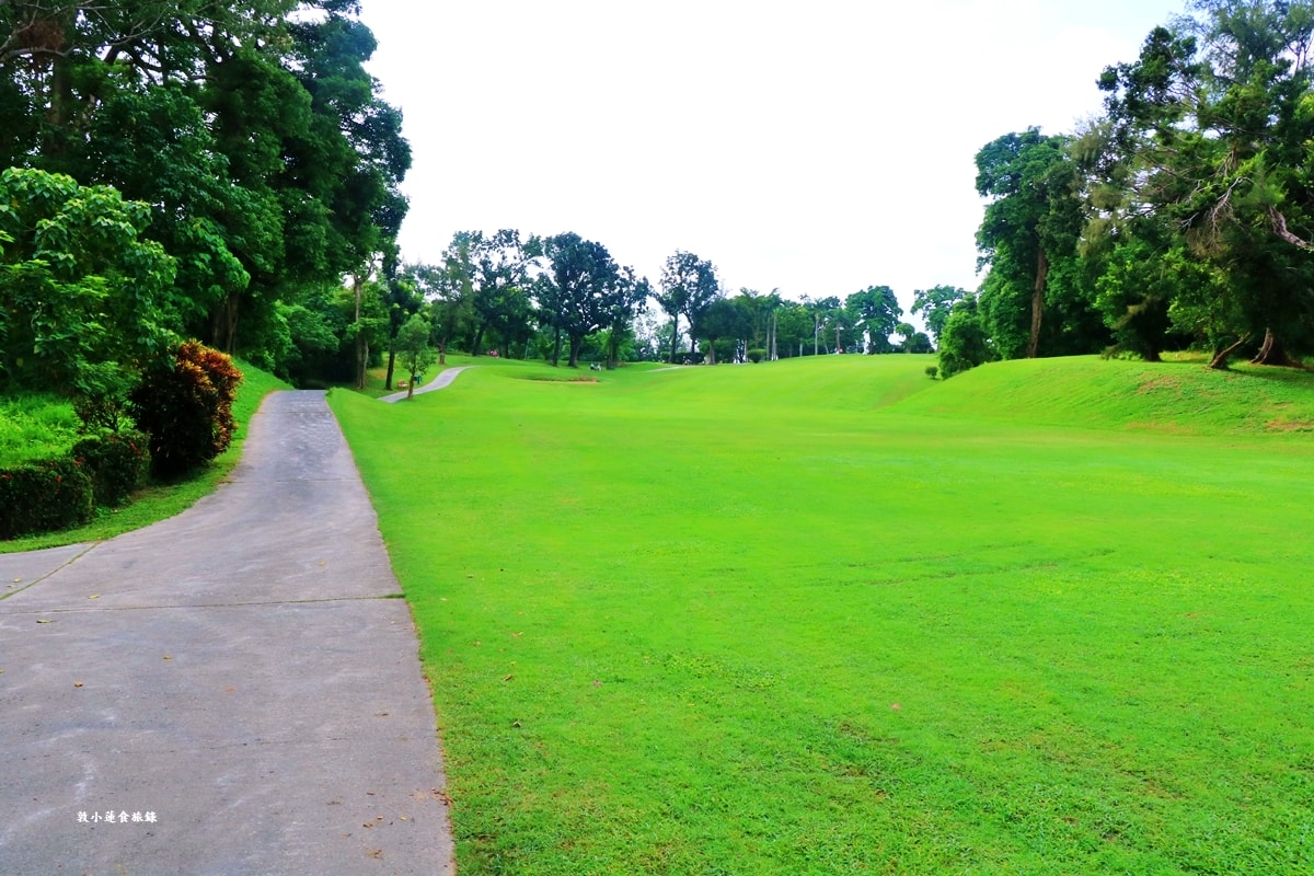 高雄果嶺自然公園‧高爾夫球場再生超級生態自然公園,佔地70公頃,90種鳥類生態,遠眺北大武山秋賞落羽松!! - 第24張圖 高雄果嶺自然公園‧高爾夫球場再生超級生態自然公園,佔地70公頃,90種鳥類生態,遠眺北大武山秋賞落羽松!!