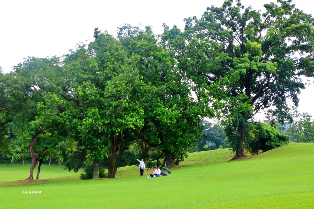 高雄果嶺自然公園‧高爾夫球場再生超級生態自然公園,佔地70公頃,90種鳥類生態,遠眺北大武山秋賞落羽松!! - 第14張圖 高雄果嶺自然公園‧高爾夫球場再生超級生態自然公園,佔地70公頃,90種鳥類生態,遠眺北大武山秋賞落羽松!!