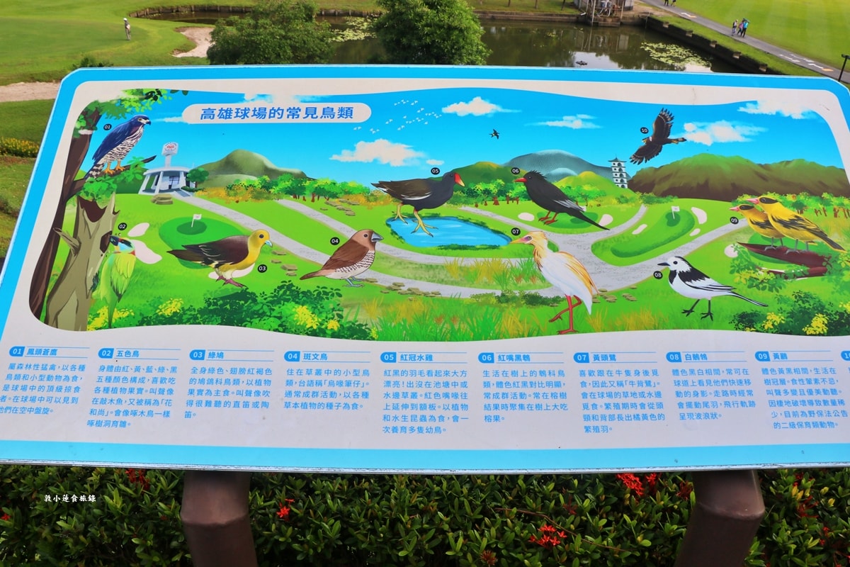 高雄果嶺自然公園‧高爾夫球場再生超級生態自然公園,佔地70公頃,90種鳥類生態,遠眺北大武山秋賞落羽松!! - 第40張圖 高雄果嶺自然公園‧高爾夫球場再生超級生態自然公園,佔地70公頃,90種鳥類生態,遠眺北大武山秋賞落羽松!!