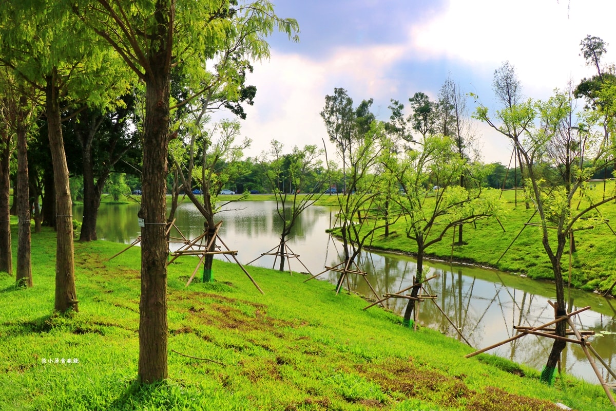高雄果嶺自然公園‧高爾夫球場再生超級生態自然公園,佔地70公頃,90種鳥類生態,遠眺北大武山秋賞落羽松!! - 第43張圖 高雄果嶺自然公園‧高爾夫球場再生超級生態自然公園,佔地70公頃,90種鳥類生態,遠眺北大武山秋賞落羽松!!