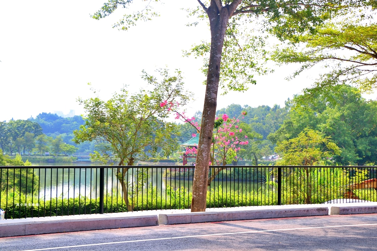 高雄果嶺自然公園‧高爾夫球場再生超級生態自然公園,佔地70公頃,90種鳥類生態,遠眺北大武山秋賞落羽松!! - 第44張圖 高雄果嶺自然公園‧高爾夫球場再生超級生態自然公園,佔地70公頃,90種鳥類生態,遠眺北大武山秋賞落羽松!!