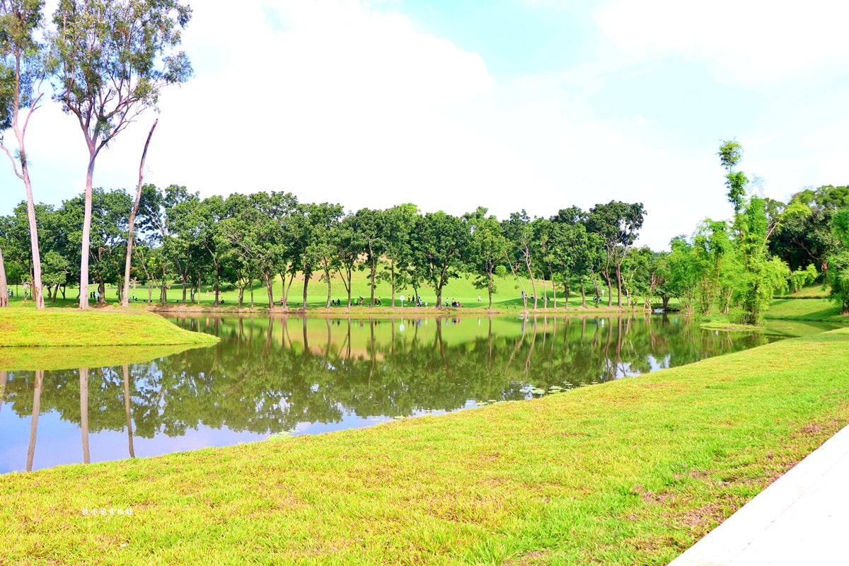 高雄果嶺自然公園‧高爾夫球場再生超級生態自然公園,佔地70公頃,90種鳥類生態,遠眺北大武山秋賞落羽松!! - 第45張圖 高雄果嶺自然公園‧高爾夫球場再生超級生態自然公園,佔地70公頃,90種鳥類生態,遠眺北大武山秋賞落羽松!!