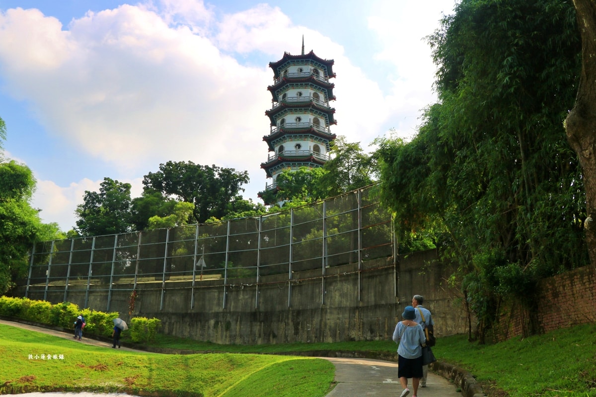 高雄果嶺自然公園‧高爾夫球場再生超級生態自然公園,佔地70公頃,90種鳥類生態,遠眺北大武山秋賞落羽松!! - 第46張圖 高雄果嶺自然公園‧高爾夫球場再生超級生態自然公園,佔地70公頃,90種鳥類生態,遠眺北大武山秋賞落羽松!!