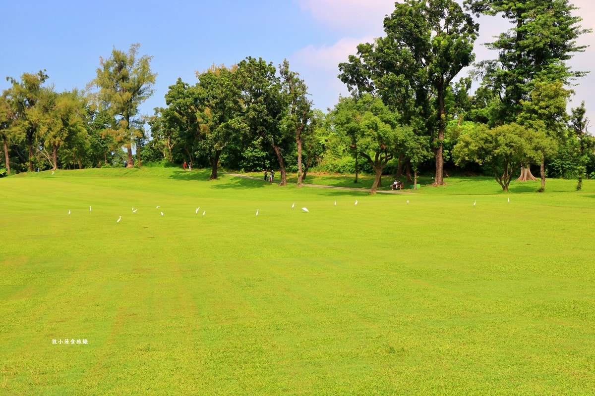 高雄果嶺自然公園‧高爾夫球場再生超級生態自然公園,佔地70公頃,90種鳥類生態,遠眺北大武山秋賞落羽松!! - 第50張圖 高雄果嶺自然公園‧高爾夫球場再生超級生態自然公園,佔地70公頃,90種鳥類生態,遠眺北大武山秋賞落羽松!!
