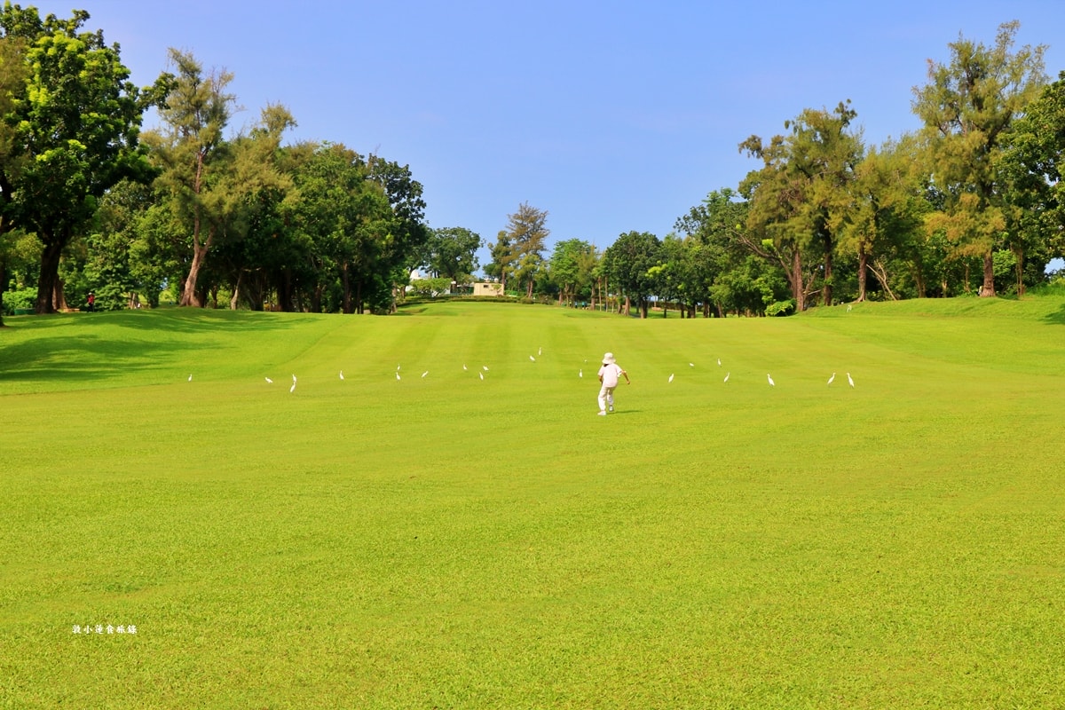 高雄果嶺自然公園‧高爾夫球場再生超級生態自然公園,佔地70公頃,90種鳥類生態,遠眺北大武山秋賞落羽松!! - 第51張圖 高雄果嶺自然公園‧高爾夫球場再生超級生態自然公園,佔地70公頃,90種鳥類生態,遠眺北大武山秋賞落羽松!!