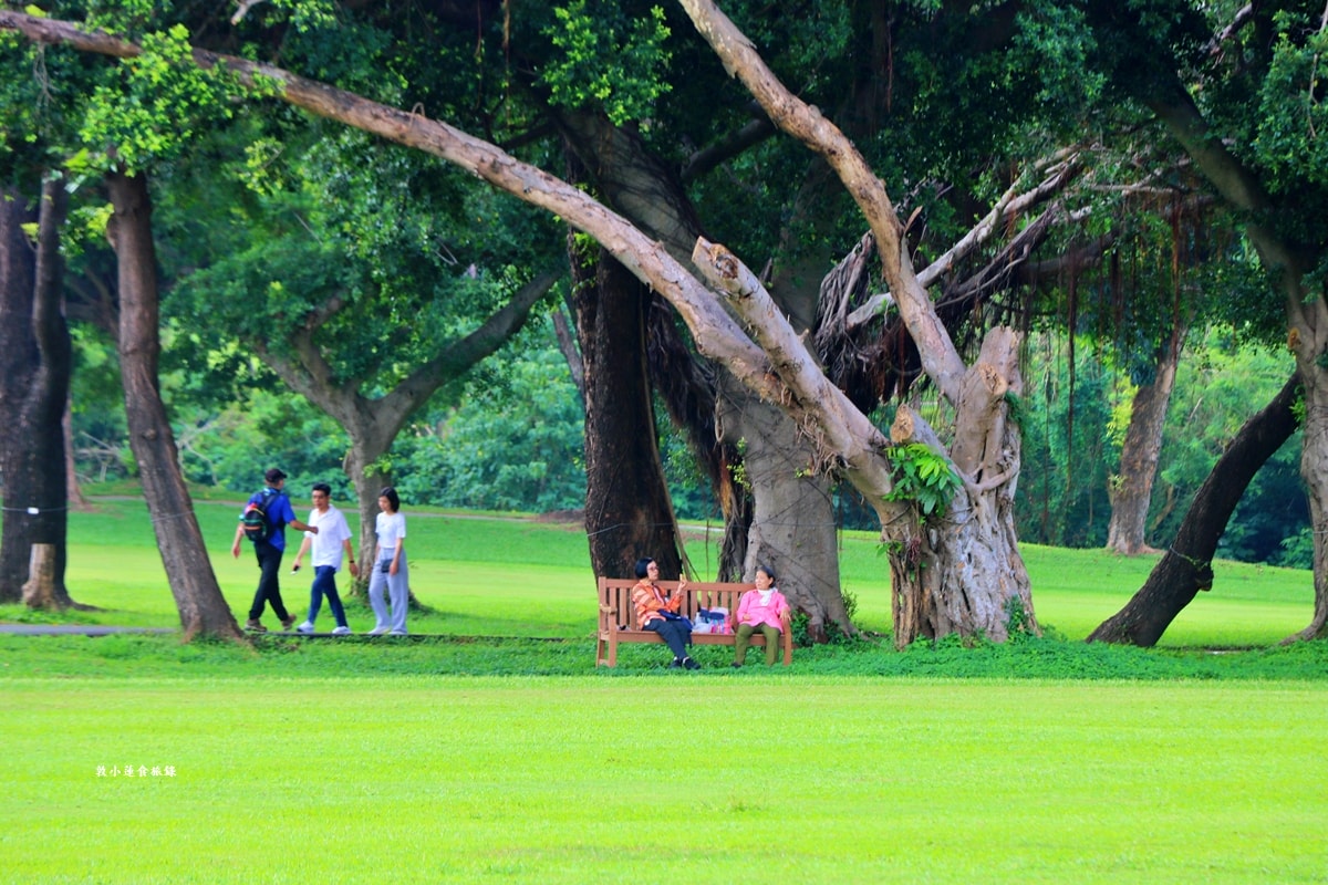 高雄果嶺自然公園‧高爾夫球場再生超級生態自然公園,佔地70公頃,90種鳥類生態,遠眺北大武山秋賞落羽松!! - 第12張圖 高雄果嶺自然公園‧高爾夫球場再生超級生態自然公園,佔地70公頃,90種鳥類生態,遠眺北大武山秋賞落羽松!!
