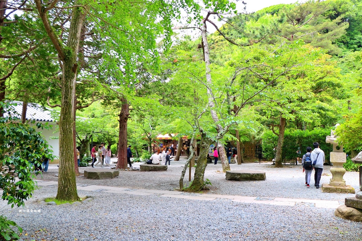 【神奈川鎌倉】鎌倉大佛殿高德院‧日本著名佛像，百年歷史國寶鎌倉大佛，日本第二大青銅佛像