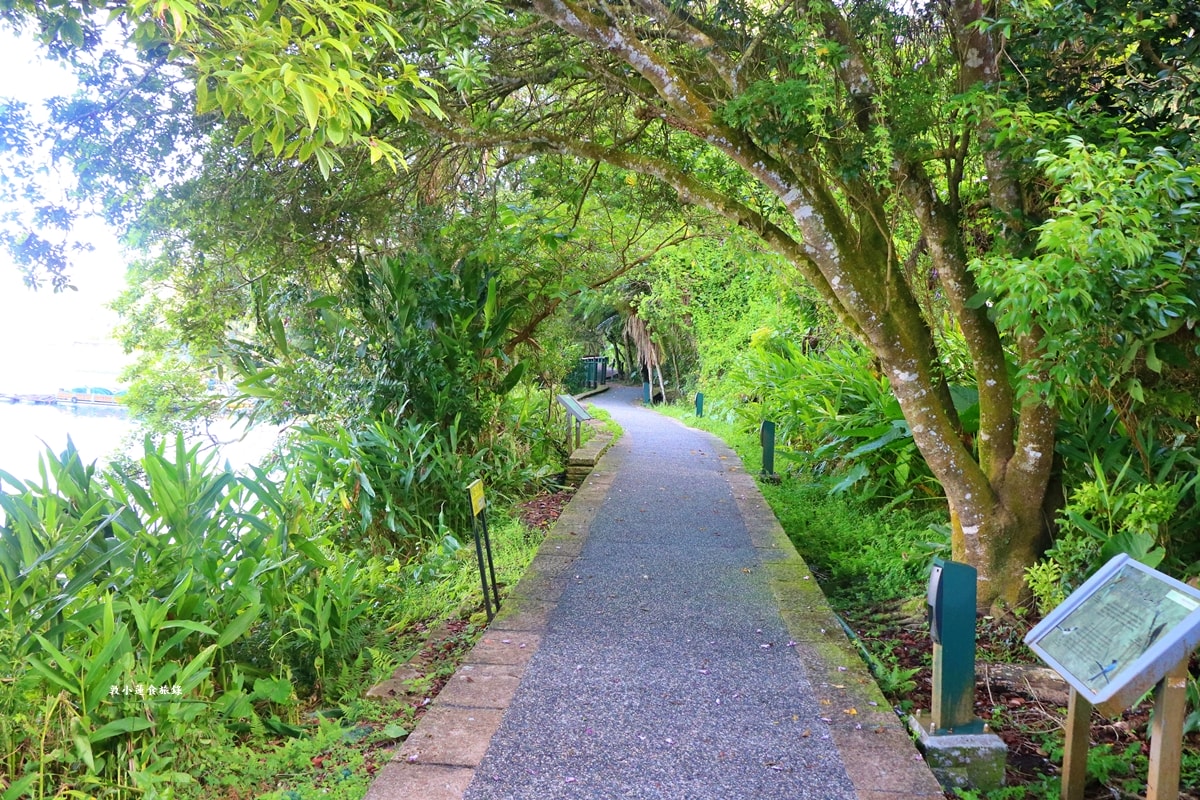 日月潭涵碧文學步道‧光與影的交織之處,山嵐雲霧多變清晨美景,最文青的幽靜步道!! - 第18張圖 日月潭涵碧文學步道‧光與影的交織之處,山嵐雲霧多變清晨美景,最文青的幽靜步道!!