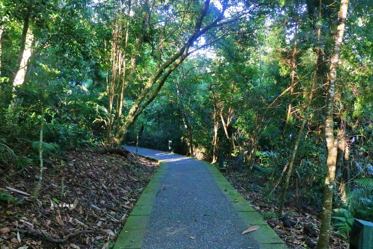 日月潭涵碧文學步道‧光與影的交織之處,山嵐雲霧多變清晨美景,最文青的幽靜步道!! - 第30張圖 日月潭涵碧文學步道‧光與影的交織之處,山嵐雲霧多變清晨美景,最文青的幽靜步道!!