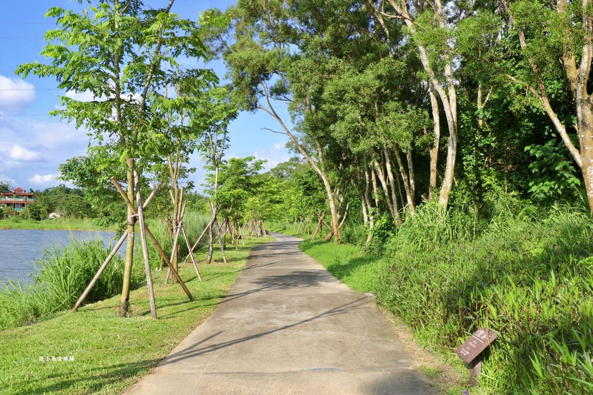 觀音湖內埤生態廊道‧佔地達30公頃,湖岸步道林間生態廊道,螢火蟲復育自然生態一覽觀音湖全景 - 第20張圖 觀音湖內埤生態廊道‧佔地達30公頃,湖岸步道林間生態廊道,螢火蟲復育自然生態一覽觀音湖全景