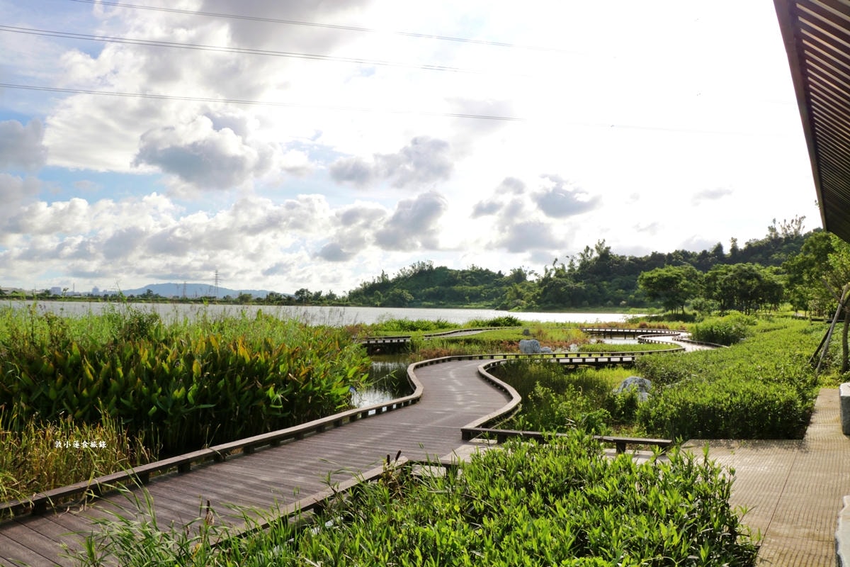 觀音湖內埤生態廊道‧佔地達30公頃,湖岸步道林間生態廊道,螢火蟲復育自然生態一覽觀音湖全景 - 第23張圖 觀音湖內埤生態廊道‧佔地達30公頃,湖岸步道林間生態廊道,螢火蟲復育自然生態一覽觀音湖全景