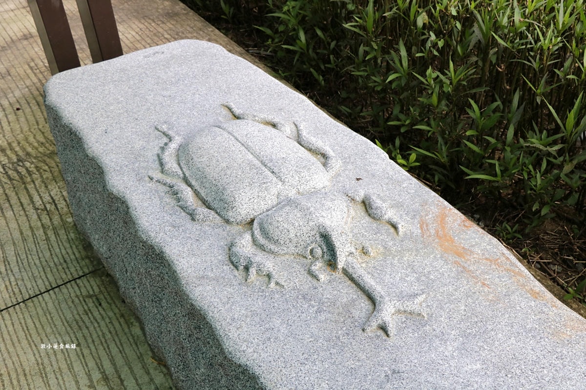 觀音湖內埤生態廊道‧佔地達30公頃,湖岸步道林間生態廊道,螢火蟲復育自然生態一覽觀音湖全景 - 第22張圖 觀音湖內埤生態廊道‧佔地達30公頃,湖岸步道林間生態廊道,螢火蟲復育自然生態一覽觀音湖全景