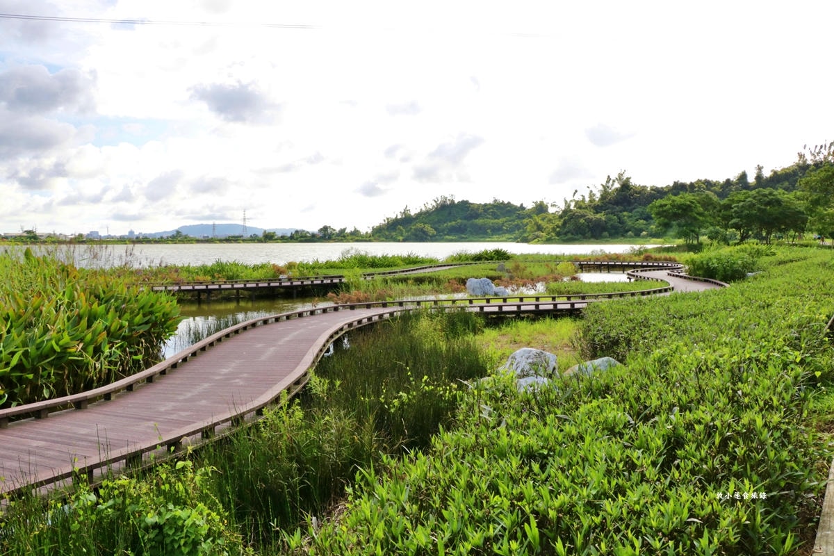 觀音湖內埤生態廊道‧佔地達30公頃,湖岸步道林間生態廊道,螢火蟲復育自然生態一覽觀音湖全景 - 第24張圖 觀音湖內埤生態廊道‧佔地達30公頃,湖岸步道林間生態廊道,螢火蟲復育自然生態一覽觀音湖全景