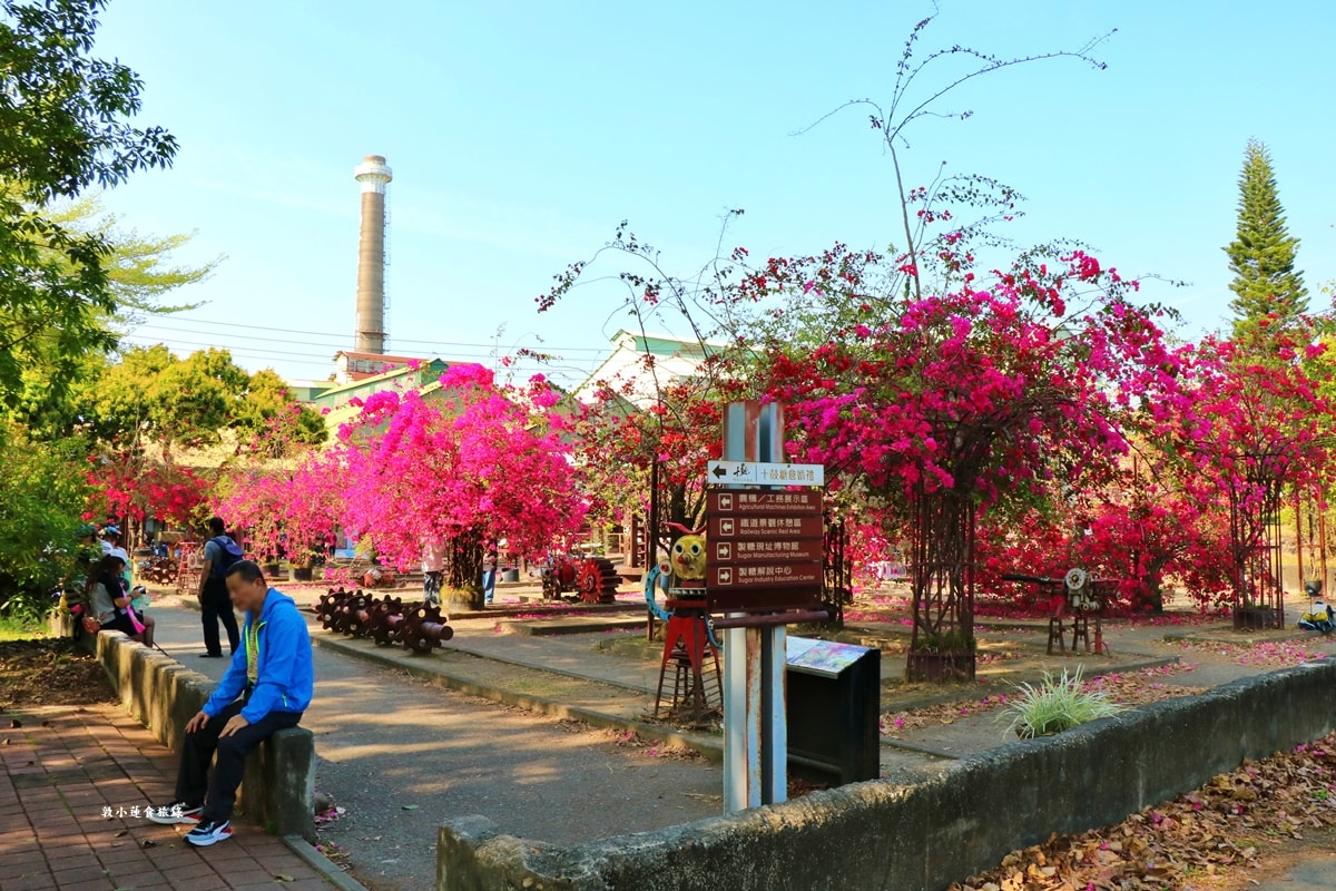 橋頭糖廠‧糖廠一日遊,橋頭捷運正對面,免門票來橋頭糖廠賞九重葛、吃台糖冰品、烤肉逛市集 - 第14張圖 橋頭糖廠‧糖廠一日遊,橋頭捷運正對面,免門票來橋頭糖廠賞九重葛、吃台糖冰品、烤肉逛市集