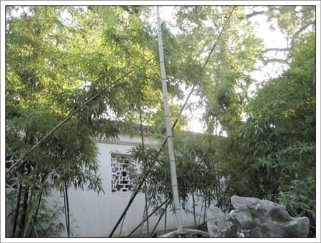 【中國】中國八天七夜上蘇杭‧獅子林 - 第10張圖 【中國】中國八天七夜上蘇杭‧獅子林