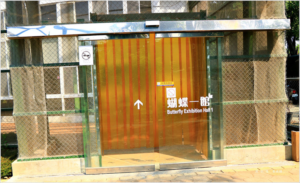 金獅湖蝴蝶園‧全國最大的網室蝴蝶園 環境清幽 停車方便 生態教學一級棒 - 第18張圖 IMG_5102