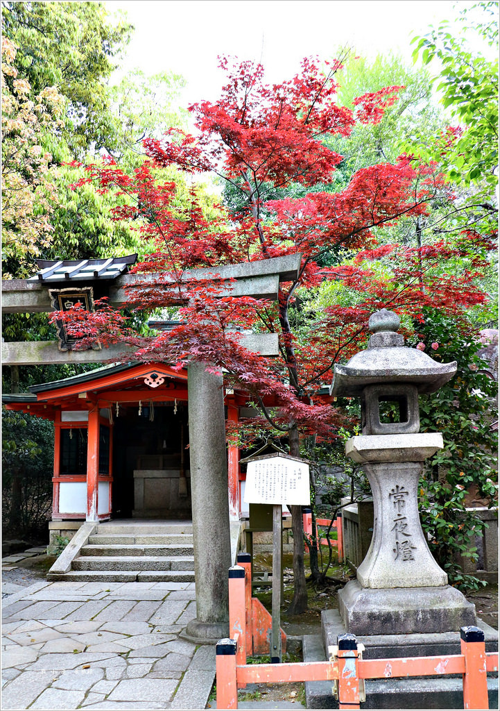 【日本‧京都】京阪六天五夜‧八坂神社 最受歡迎的戀愛聖地,姻緣神社,八坂神社首當其衝 - 第3張圖 IMG_9281