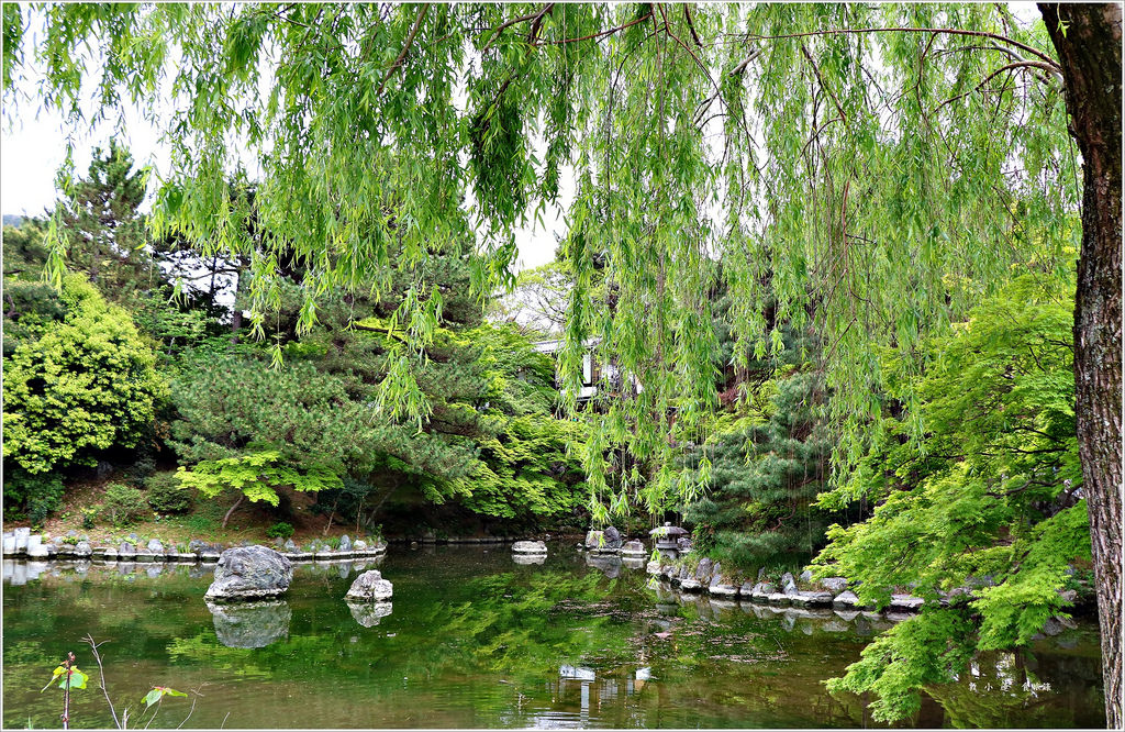 【日本‧京都】京阪六天五夜‧八坂神社 最受歡迎的戀愛聖地,姻緣神社,八坂神社首當其衝 - 第9張圖 IMG_9287