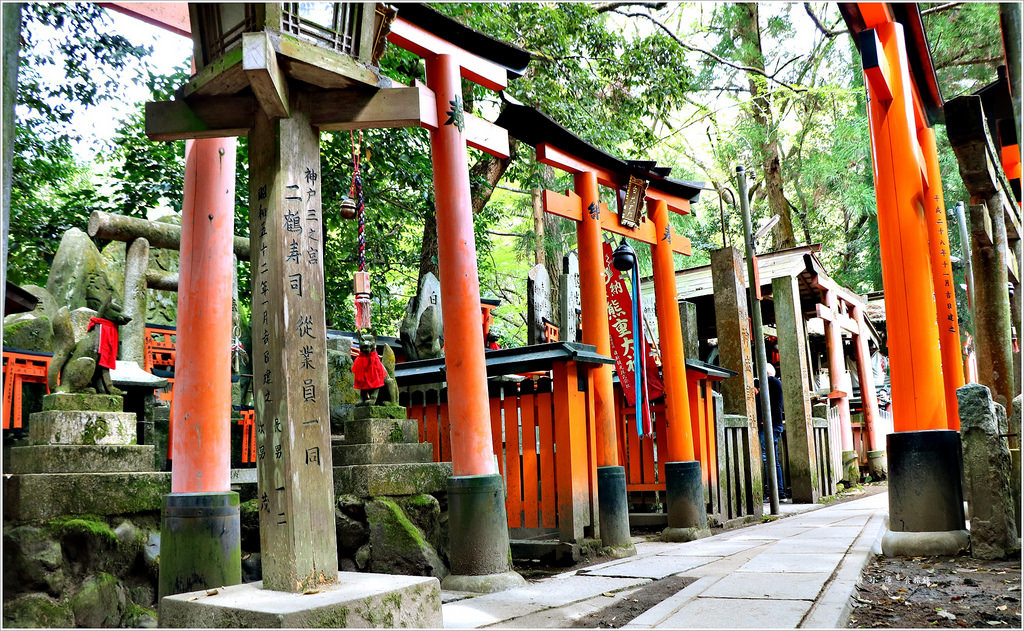 【日本‧京都】京阪六天五夜‧伏見稻荷大社-千本鳥居 望不盡的鳥居 攻頂稻荷大社最頂峰一之峰 - 第11張圖 IMG_9099