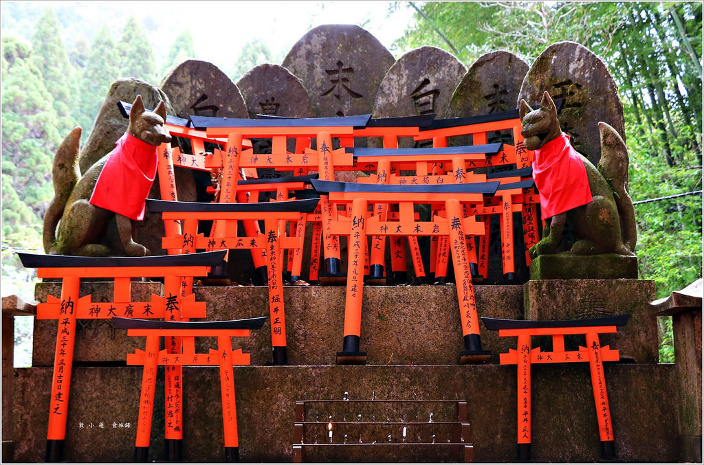 【日本‧京都】京阪六天五夜‧伏見稻荷大社-千本鳥居 望不盡的鳥居 攻頂稻荷大社最頂峰一之峰 - 第12張圖 IMG_9101
