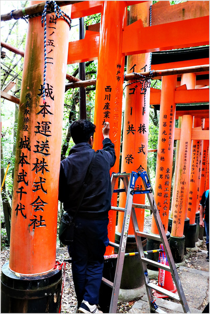【日本‧京都】京阪六天五夜‧伏見稻荷大社-千本鳥居 望不盡的鳥居 攻頂稻荷大社最頂峰一之峰 - 第14張圖 IMG_9107
