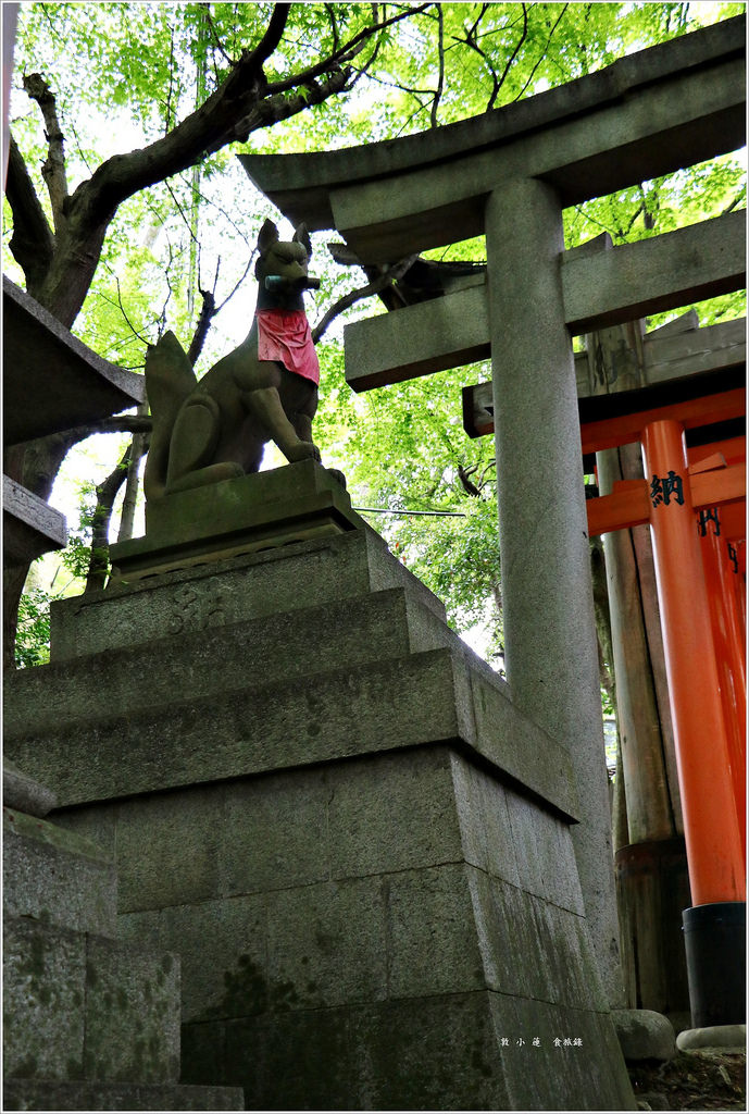 【日本‧京都】京阪六天五夜‧伏見稻荷大社-千本鳥居 望不盡的鳥居 攻頂稻荷大社最頂峰一之峰 - 第31張圖 IMG_9175