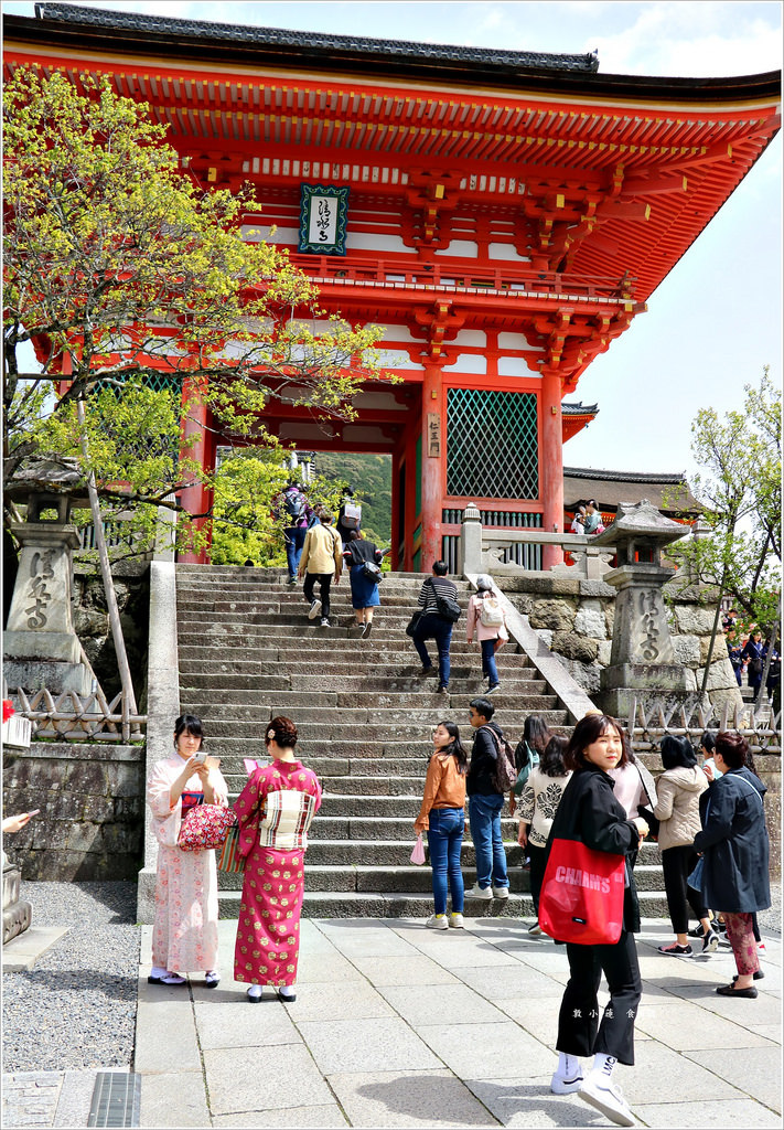 【日本‧京都】京阪六天五夜‧清水寺世界文化遺產必拜姻緣神地主神社、音羽瀑布 - 第2張圖 IMG_8648
