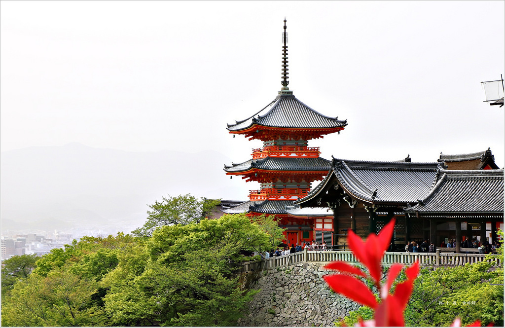 【日本‧京都】京阪六天五夜‧清水寺世界文化遺產必拜姻緣神地主神社、音羽瀑布 - 第49張圖 IMG_8807