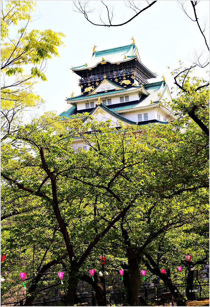 【日本‧大阪】京阪六天五夜‧大阪城西之丸庭園 春初賞櫻的好地方 - 第11張圖 IMG_7343