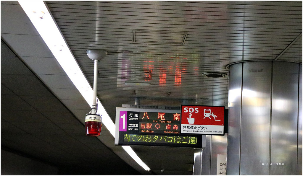 【日本‧大阪】京阪六天五夜‧大阪城西之丸庭園 春初賞櫻的好地方 - 第21張圖 IMG_7710