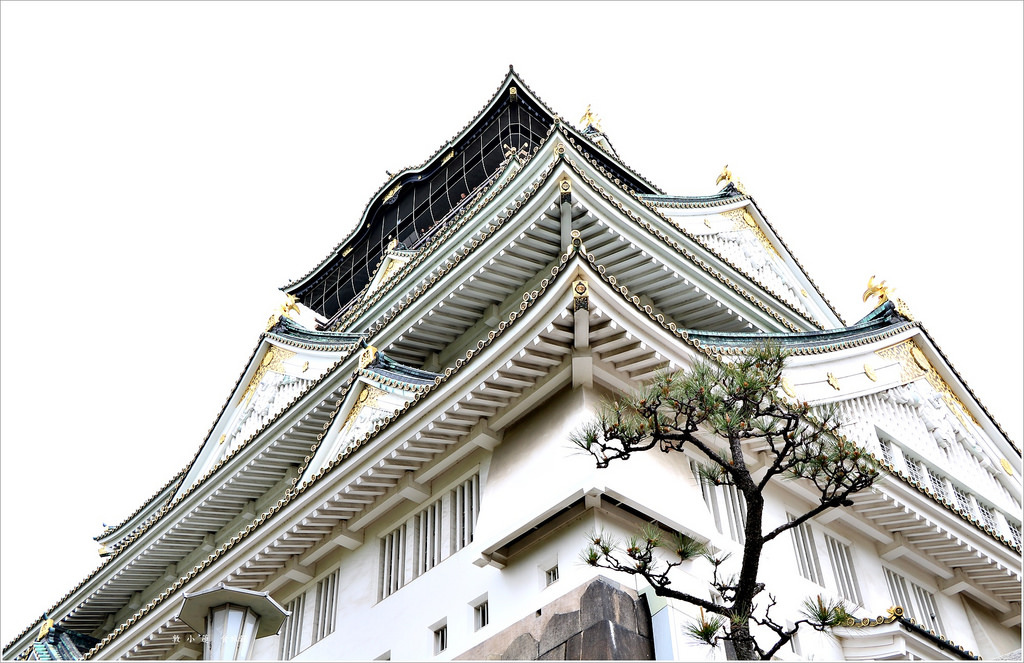 【日本‧大阪】京阪六天五夜‧大阪城 日本三大名城之一探訪日本古蹟文物 - 第39張圖 IMG_7447