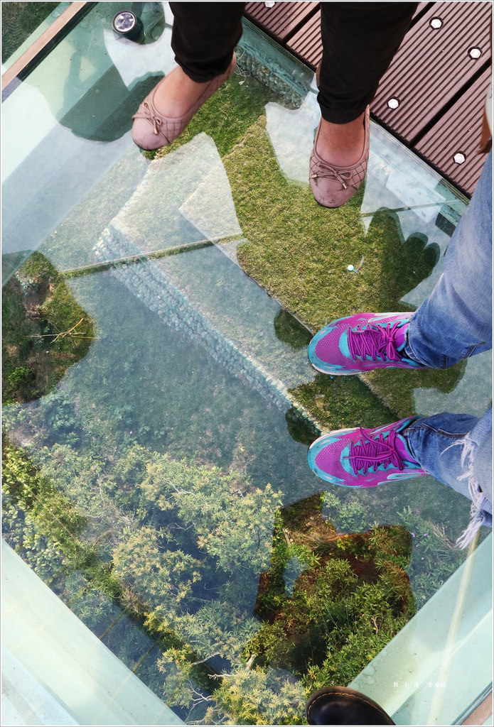 崗山之眼‧小崗山天空迴廊園區 88公尺長空中步道 鳥瞰阿公店水庫 - 第19張圖 IMG_5073