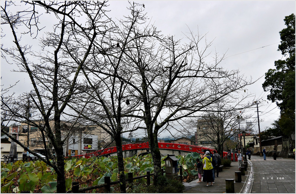 【日本‧熊本】九州慢行之旅‧國寶青井阿蘇神社 九州最南端唯一國寶建築 - 第8張圖 IMG_9702