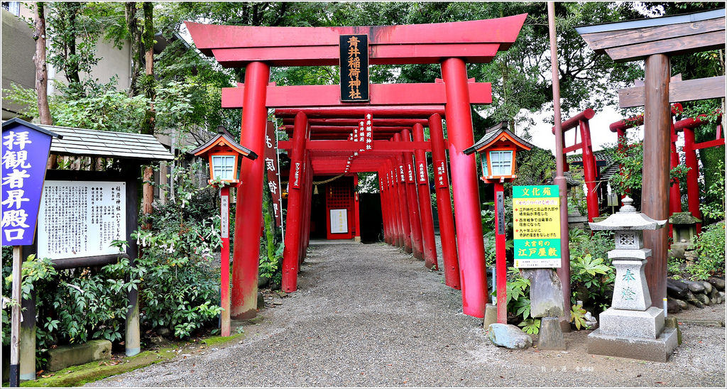 【日本‧熊本】九州慢行之旅‧國寶青井阿蘇神社 九州最南端唯一國寶建築 - 第20張圖 IMG_9717