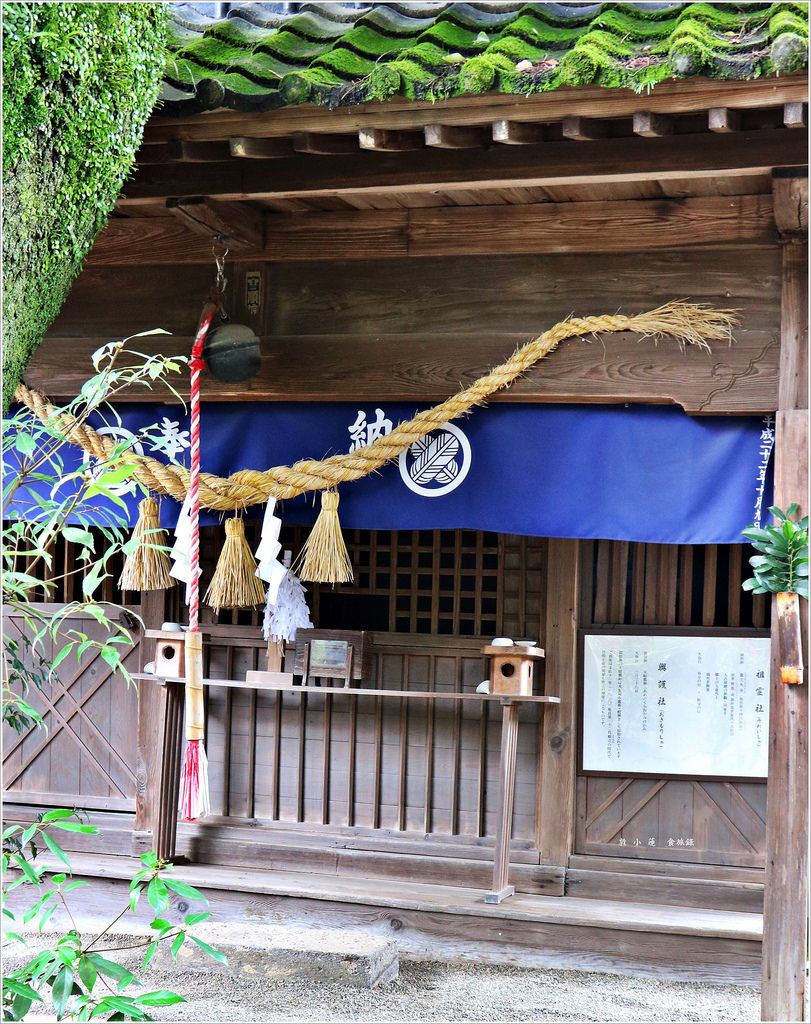 【日本‧熊本】九州慢行之旅‧國寶青井阿蘇神社 九州最南端唯一國寶建築 - 第23張圖 IMG_9721