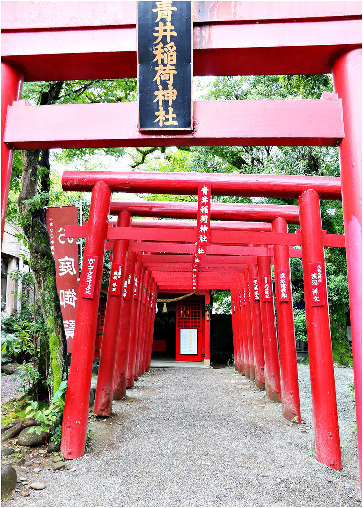 【日本‧熊本】九州慢行之旅‧國寶青井阿蘇神社 九州最南端唯一國寶建築 - 第25張圖 IMG_9726