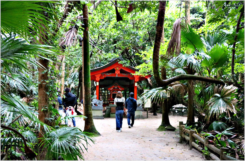 【日本‧宮崎】九州慢行之旅‧青島神社日本神話發源地又稱姻緣神社 - 第25張圖 IMG_9145