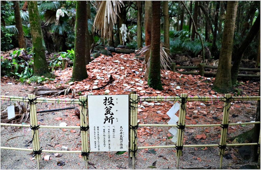 【日本‧宮崎】九州慢行之旅‧青島神社日本神話發源地又稱姻緣神社 - 第28張圖 IMG_9141