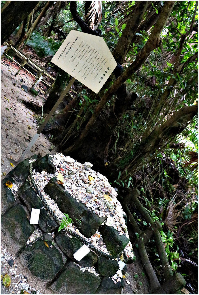 【日本‧宮崎】九州慢行之旅‧青島神社日本神話發源地又稱姻緣神社 - 第29張圖 IMG_9140