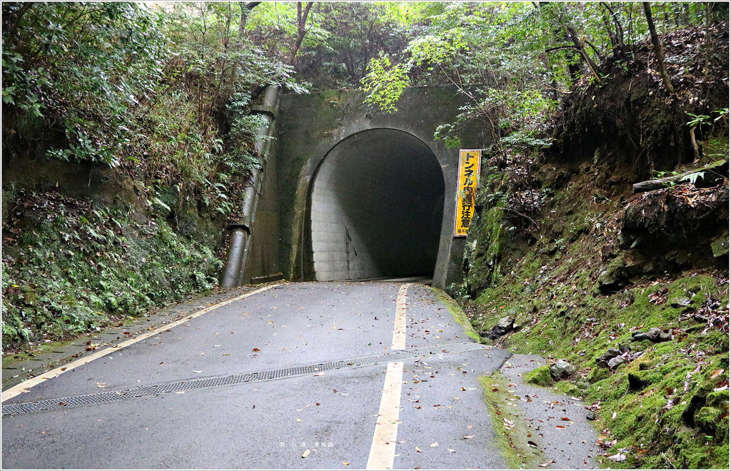 【日本‧宮崎】九州慢行之旅‧ 日本名勝高千穗峽 神話發源地又稱五瀨川峽谷 - 第2張圖 IMG_8975