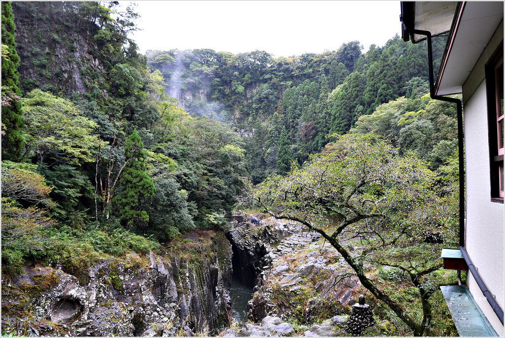 【日本‧宮崎】九州慢行之旅‧ 日本名勝高千穗峽 神話發源地又稱五瀨川峽谷 - 第5張圖 IMG_8980