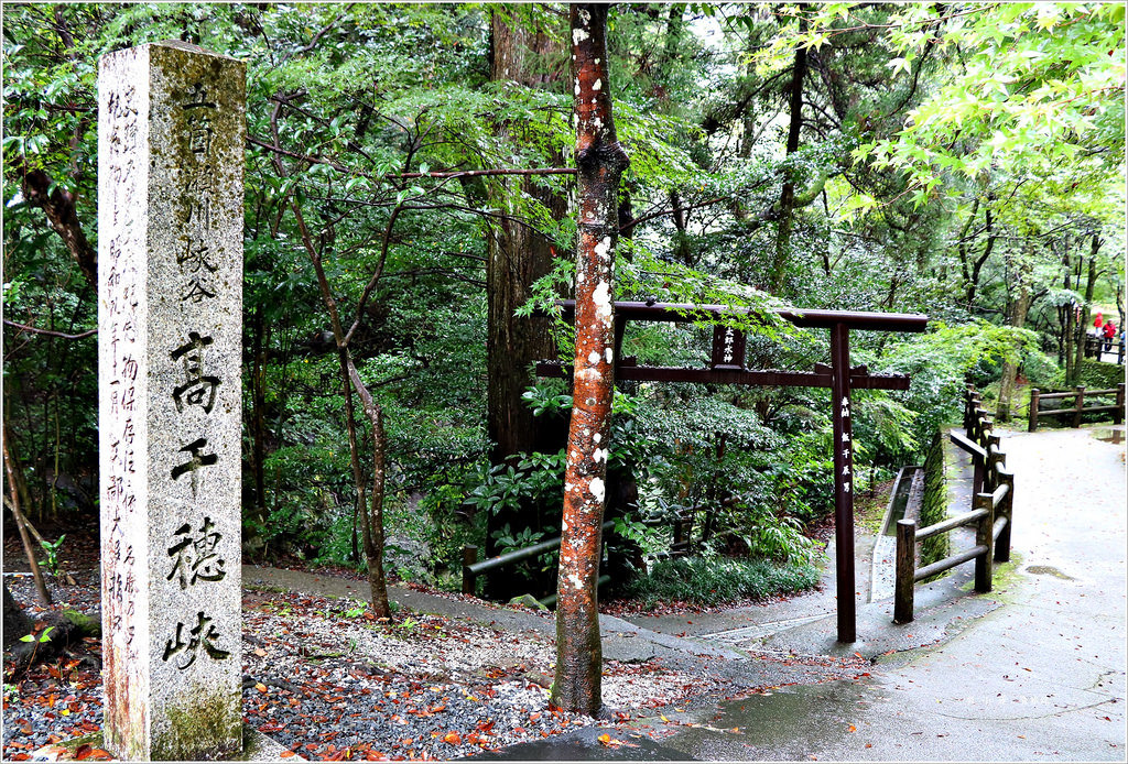 【日本‧宮崎】九州慢行之旅‧ 日本名勝高千穗峽 神話發源地又稱五瀨川峽谷 - 第15張圖 IMG_9044