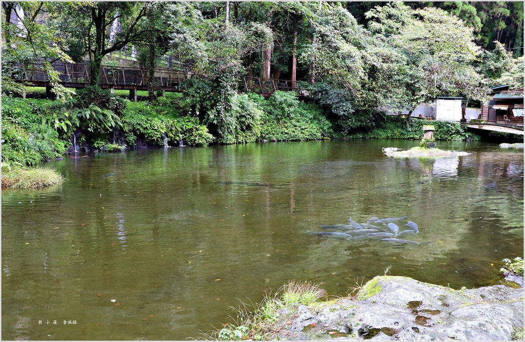 【日本‧宮崎】九州慢行之旅‧ 日本名勝高千穗峽 神話發源地又稱五瀨川峽谷 - 第17張圖 IMG_9019