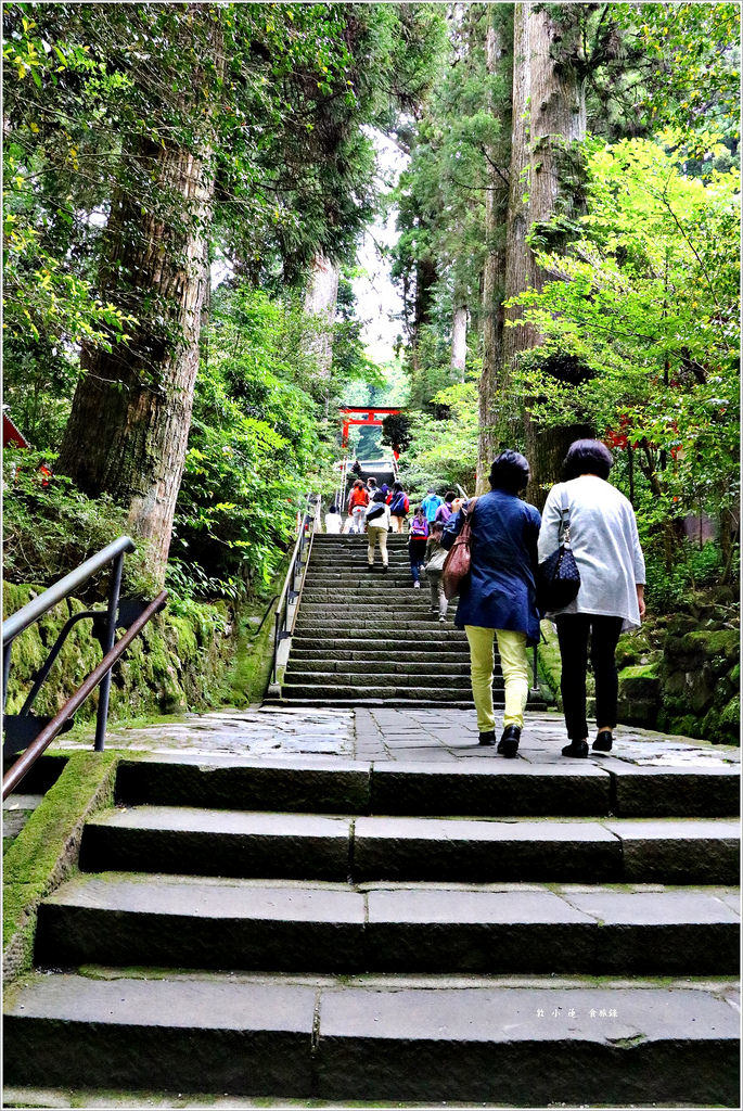 【神奈川箱根】東京五天四夜半自助旅行‧箱根神社裡的九頭龍神社求事業姻緣都很靈驗特受日本女性歡迎 - 第4張圖 IMG_3486